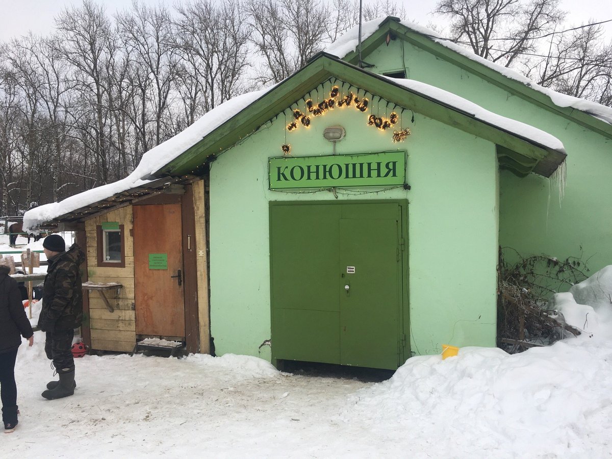 Конный клуб Кардинал, с. Ершово: лучшие советы перед посещением -  Tripadvisor