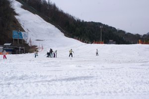 家庭與遊樂區