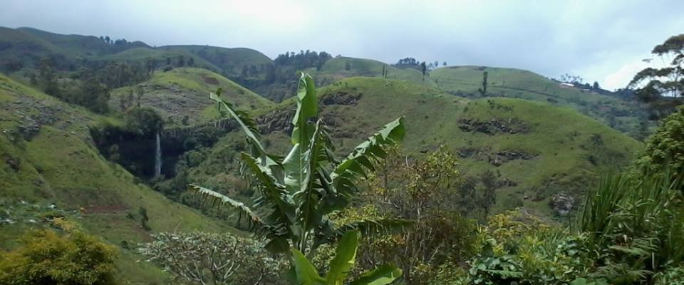 Ndem Voueh Caves. This is a view of the way to the cave. Located at 18km from Dschang