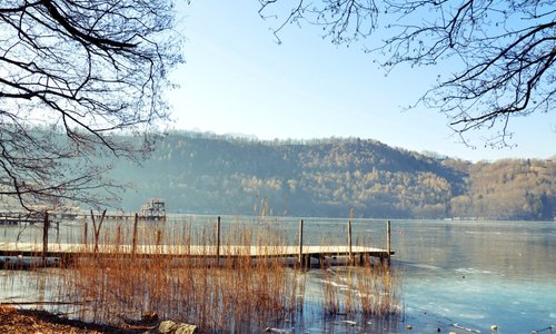Vista da sotto gli alberi