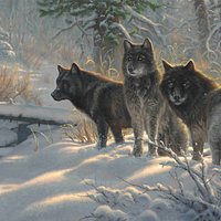 Three Amigos