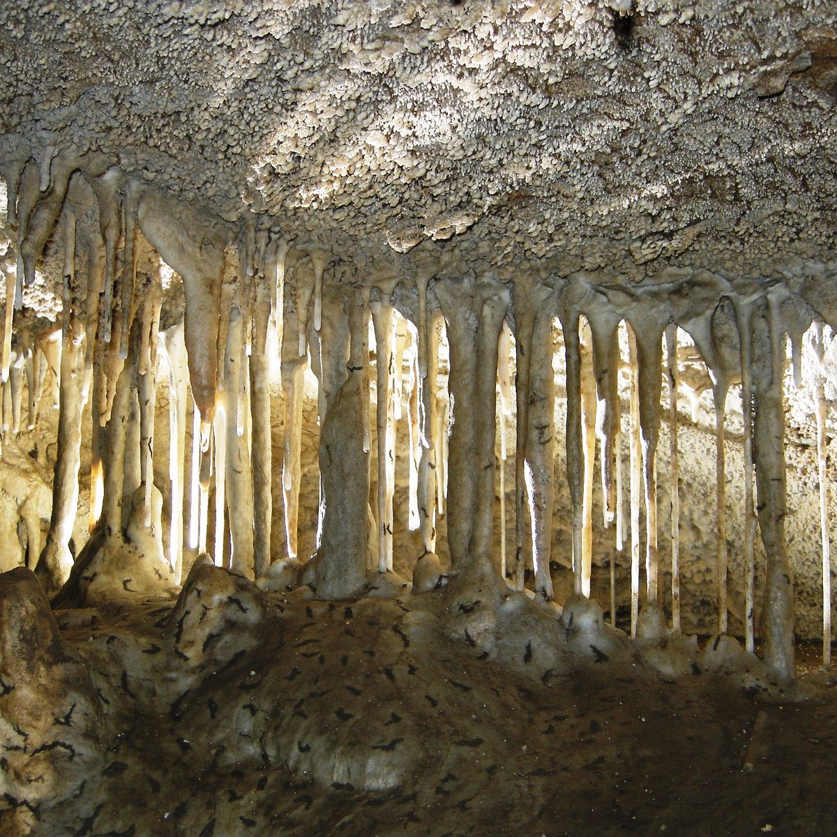 Top 99+ Images oregon caves national monument photos Superb