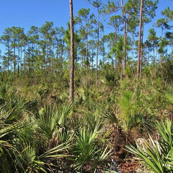 Anhinga Trail (Everglades National Park) - All You Need to Know BEFORE ...