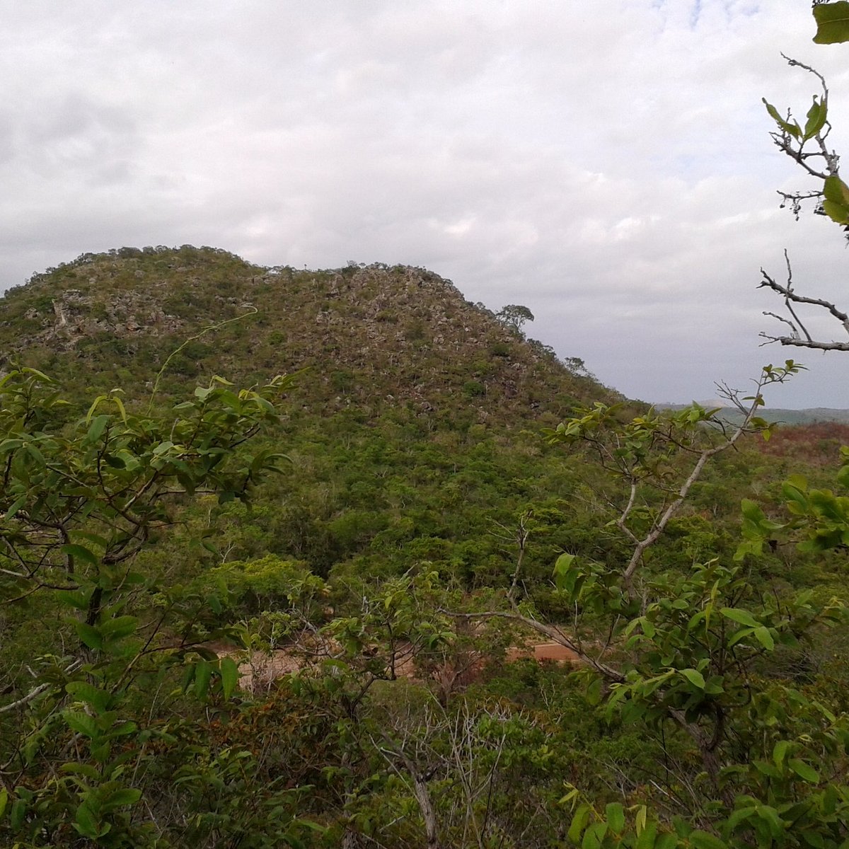PARQUE ESTADUAL DE MONTE ALEGRE All You MUST Know Before You Go (2024)