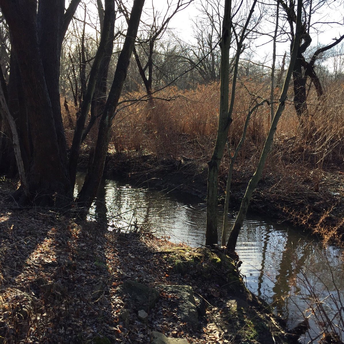 Teaneck Creek Conservancy - All You Need to Know BEFORE You Go (2024)