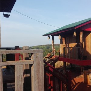 Tree Trails Travel Lodge