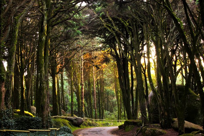 Imagen 2 de Palacio de Sintra Bed and Breakfast