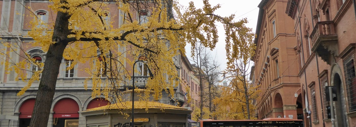 Bologna in Autumn