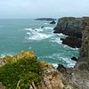 Things To Do in Belle-Ile Surf Club, Restaurants in Belle-Ile Surf Club