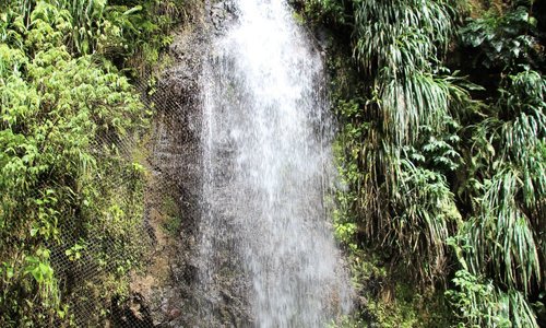 The Falls