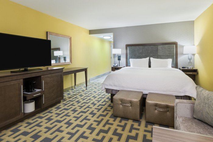 Hampton Inn & Suites Tampa Airport Avion Park Westshore - hotel rooms