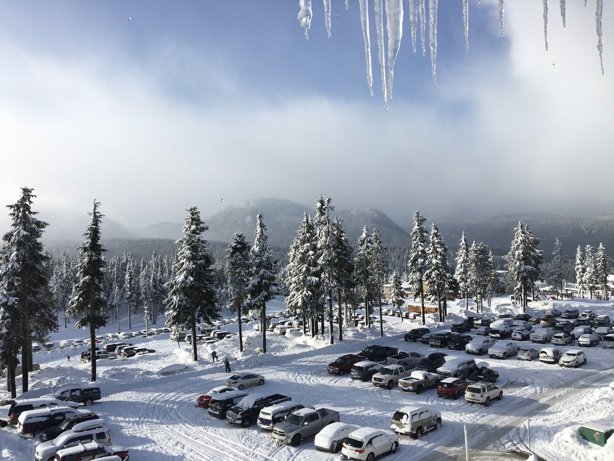 BEAR LODGE: 2021 Reviews (Mount Washington, Canada) - Photos of Lodge