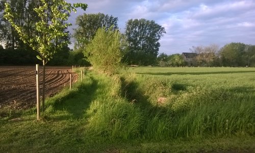 het wandelnetwerk Vlaamse Ardennen Zwalmvallei loopt net voor onze voordeur