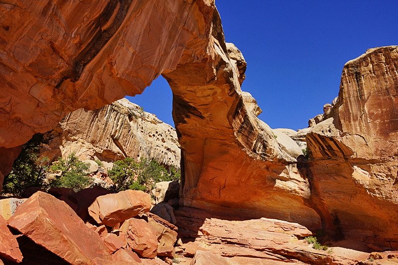 Capitol reef hickman bridge sale