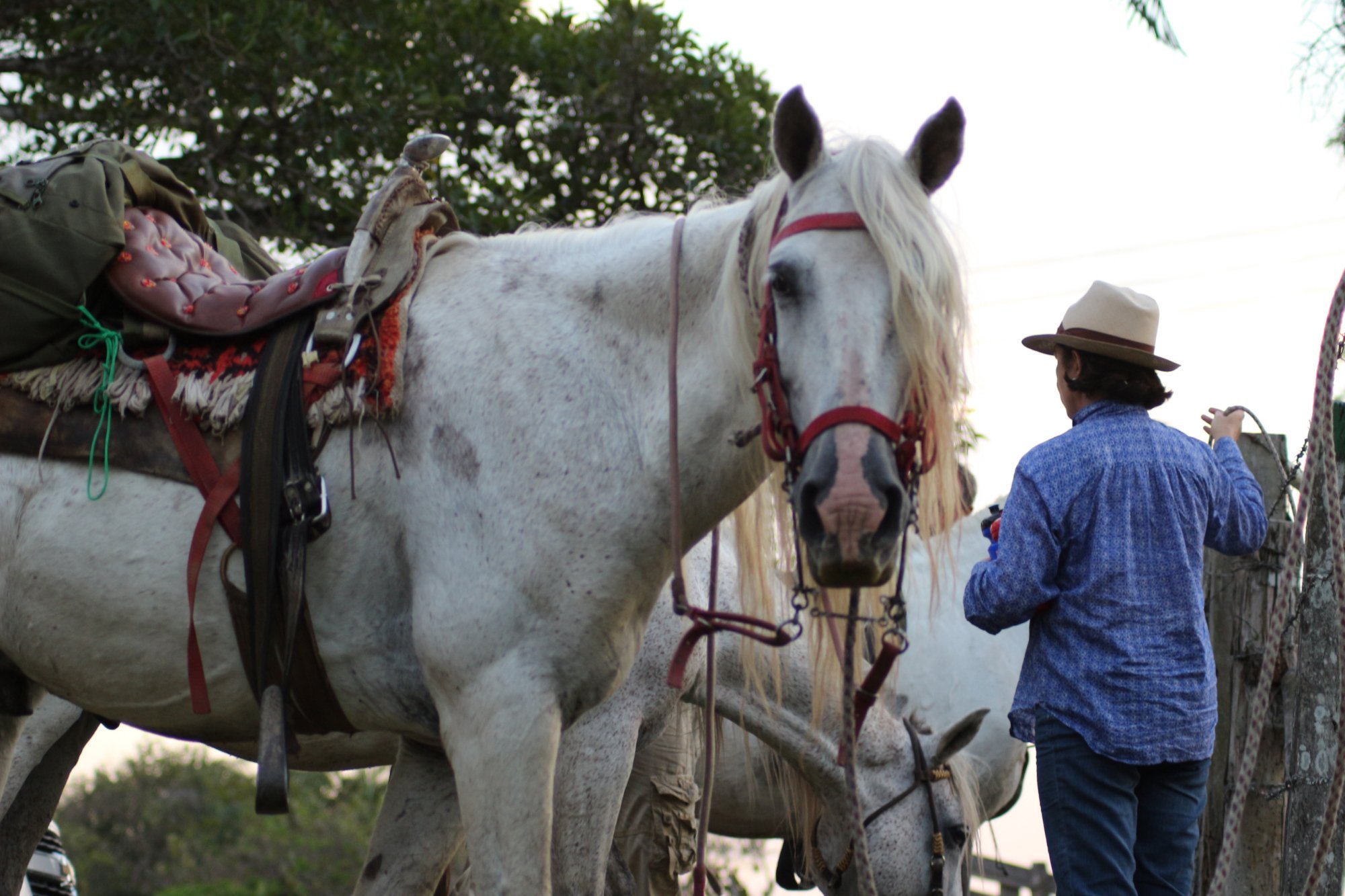 Wild Llanos Tours and Safaris - All You Need to Know BEFORE You Go (2024)