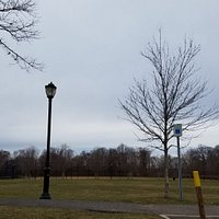 lots of green space