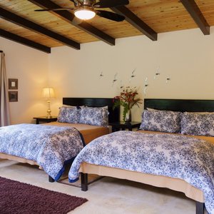 Riverfront Deluxe Cabin with queen beds