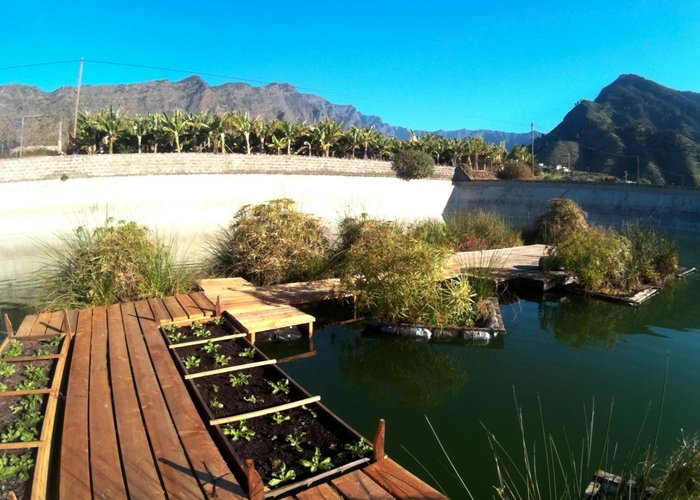 Floating Platforms Top terrace #1