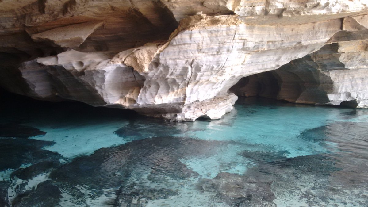 Help in the farm and nursery activities in Chapada Diamantina, Bahia