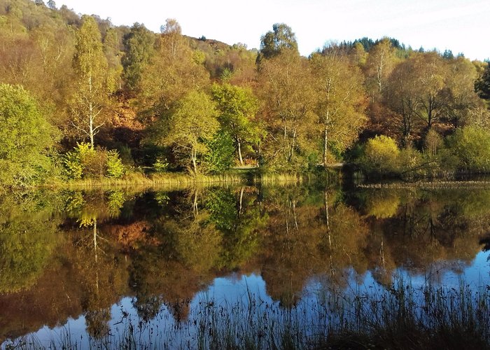 By The Lodge - Aberfoyle