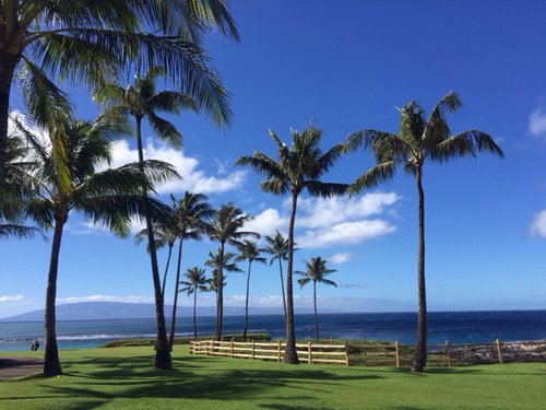 un maui