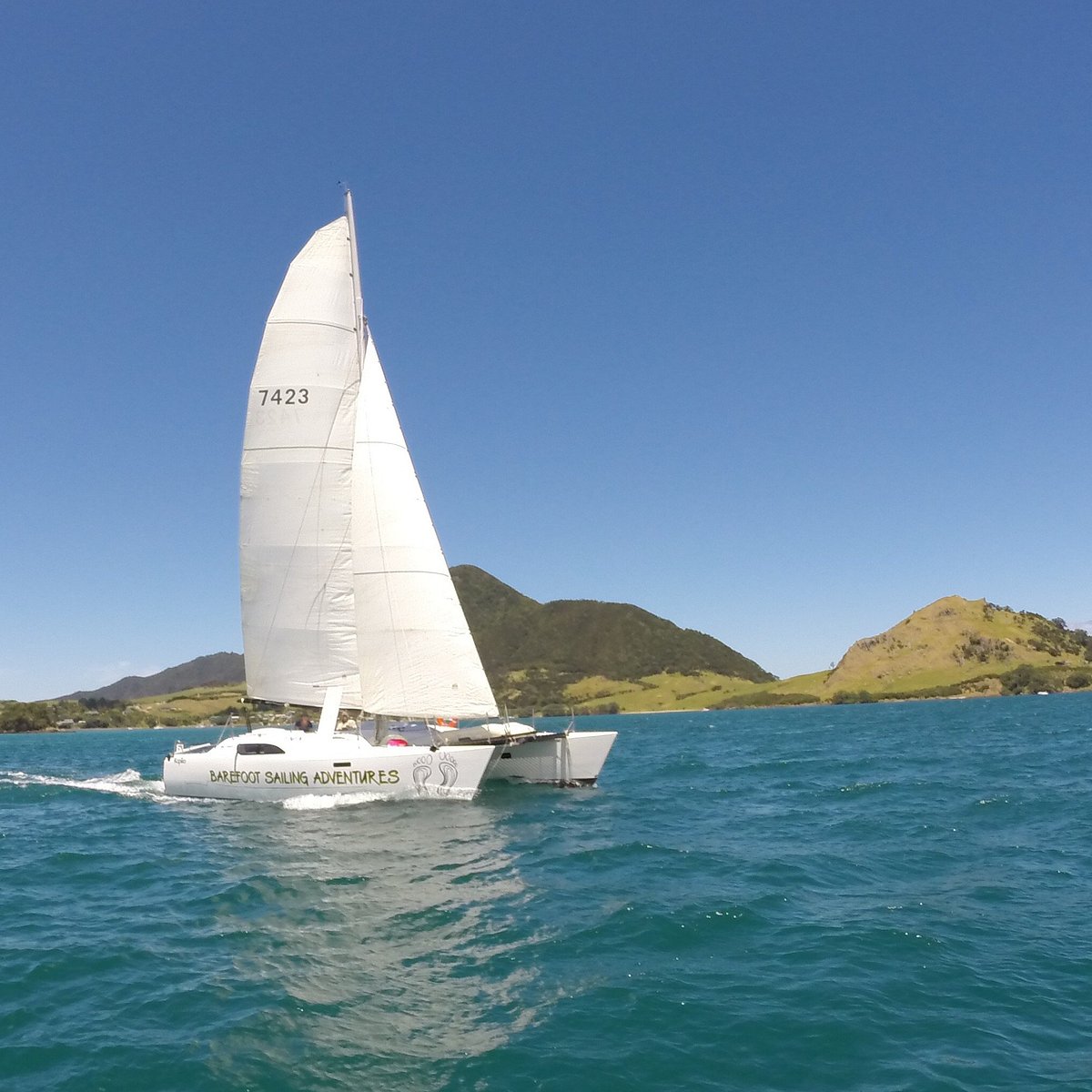 paihia sailing trips