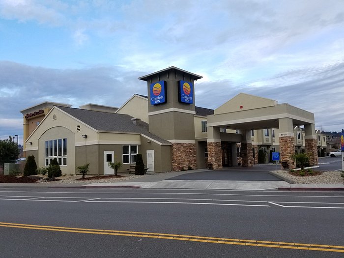 Comfort Inn Arcata - Humboldt Area - UPDATED Prices, Reviews & Photos (CA)  - Hotel - Tripadvisor