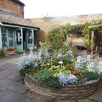 Ely Museum