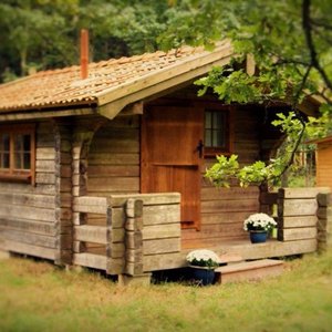 The cabin