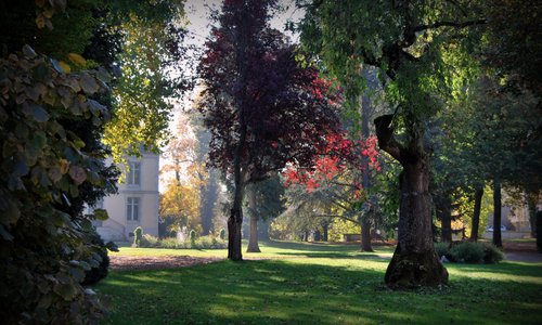 Cour d'honneur du Haras en automne