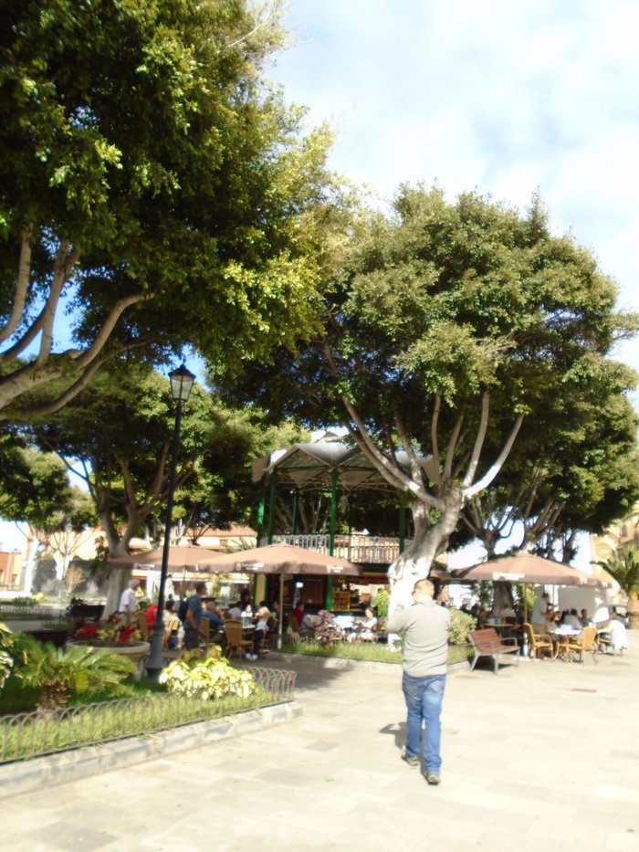 Imagen 5 de Plaza de La Libertad