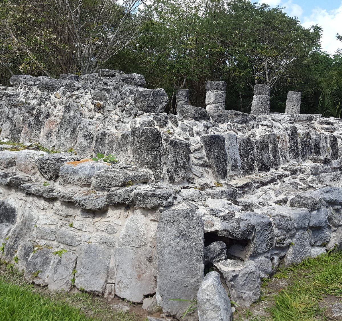 Zona Arqueológica de San Gervasio (Cozumel) - 2023 Lo que se debe saber  antes de viajar - Tripadvisor
