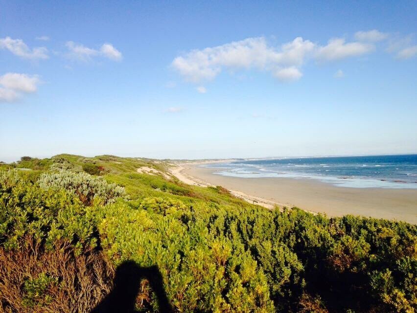 BUCKLEY PARK FORESHORE RESERVE (Ocean Grove) - 2022 What to Know BEFORE ...