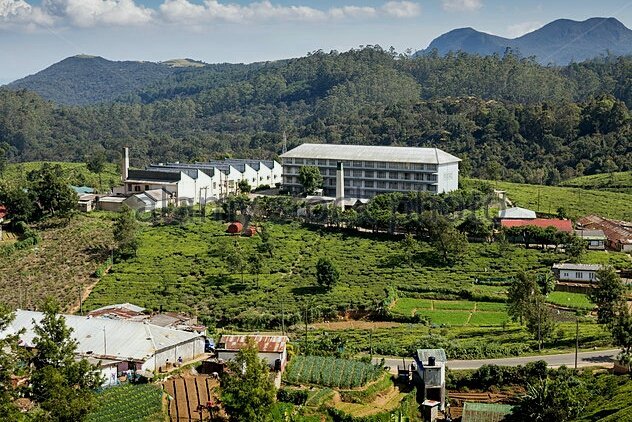 Pedro Tea Factory image