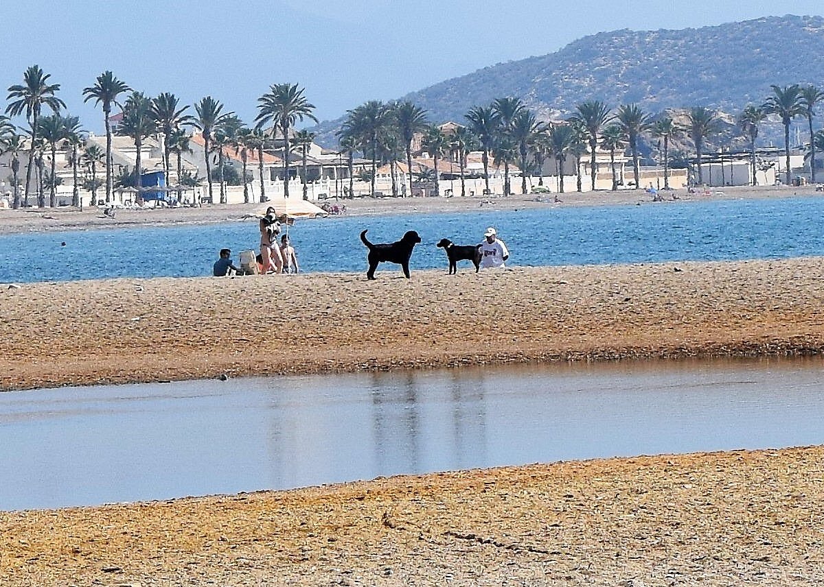 Chaleco Servicio exhaustivo PLAYA DE LAS MORERAS (Puerto de Mazarrón) - 2022 Qué saber antes de ir - Lo más comentado por la gente - Tripadvisor Chaleco Servicio exhaustivo PLAYA DE LAS MORERAS (Puerto de Mazarrón) - 2022 Qué saber antes de ir - Lo más comentado por la gente - Tripadvisor