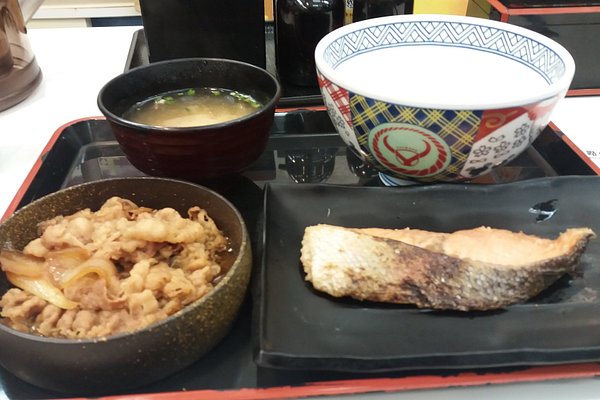 DONBURI RICE BOWL” - Picture of Bento Sushi & Noodles, New York City -  Tripadvisor