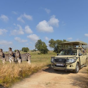 MOLOPO GAME RESERVE - All You MUST Know Before You Go (2025)