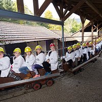 Einfahrt mit der Grubenbahn! Ein Erlebnis für Jung und Alt!