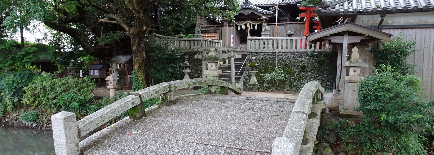 江戸時代の石橋と樟