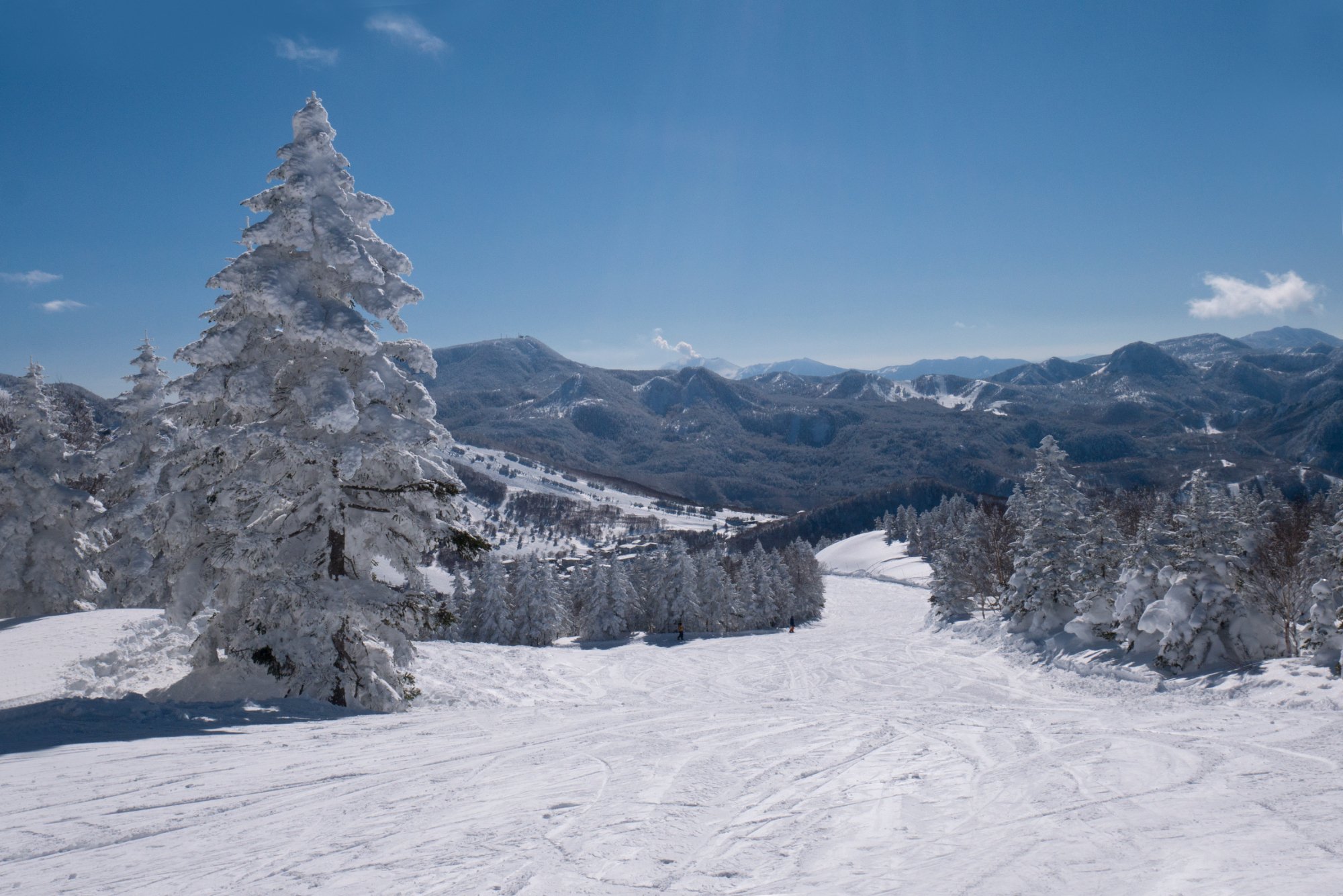 THE 15 BEST Nagano Prefecture Skiing & Snowboarding Areas (2025)