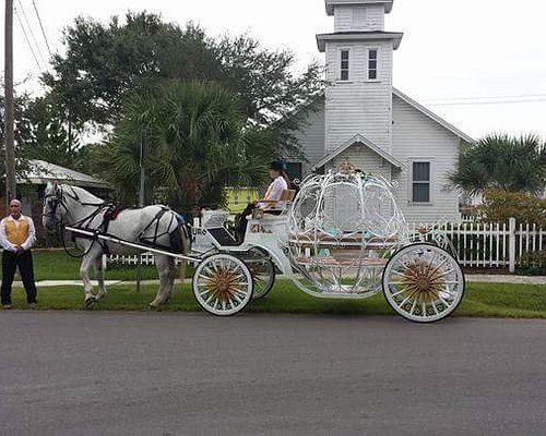 8 Magical Horse Drawn Carriage Rides And Tours In Florida