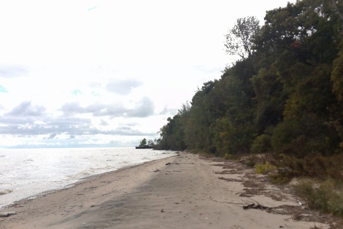 Lonely beach