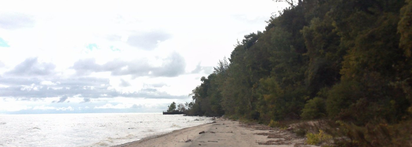Lonely beach