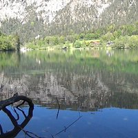 Thumsee