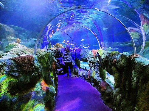 THE 10 BEST Zoos & Aquariums in North Carolina (Updated 2023)