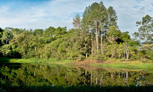 Laguna Zoncho, the approximately 1 hectare wetland on the Finca.