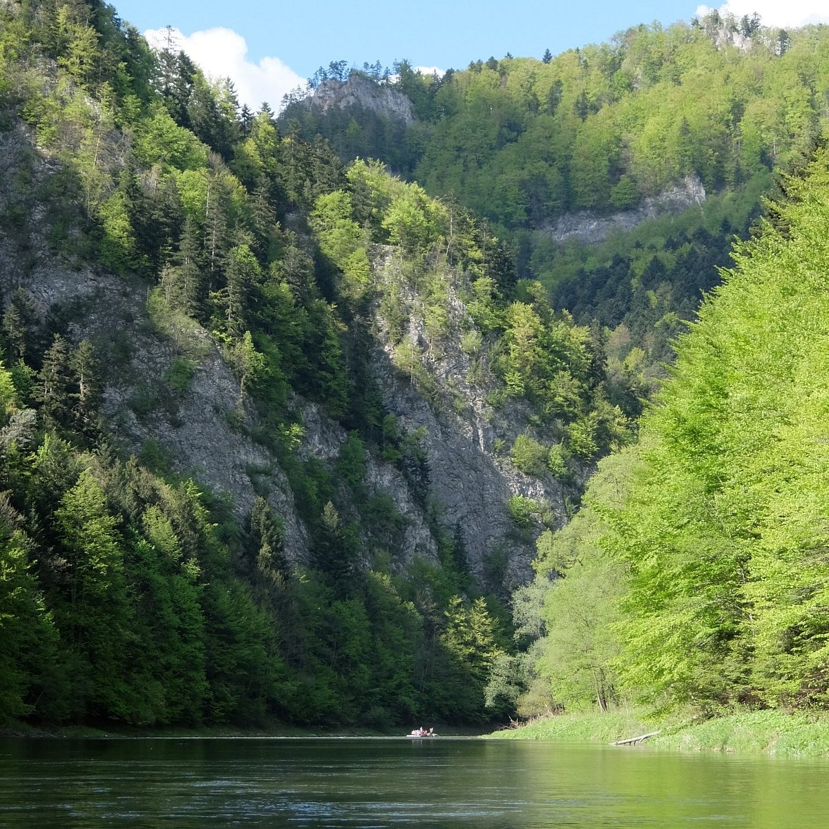 Река на юге польши. Szczawnica. Rivent.