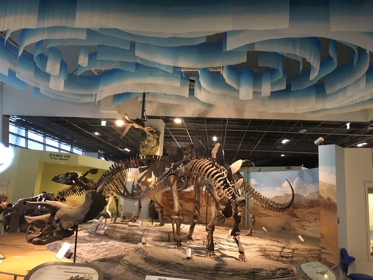 National Gwacheon Science Museum - All You Need to Know BEFORE You Go