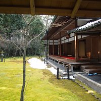 雪と苔のコントラストが綺麗でした