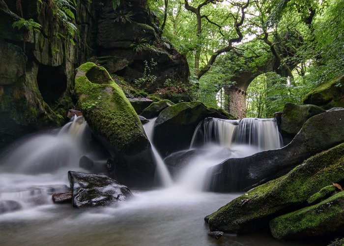 Healey Dell
